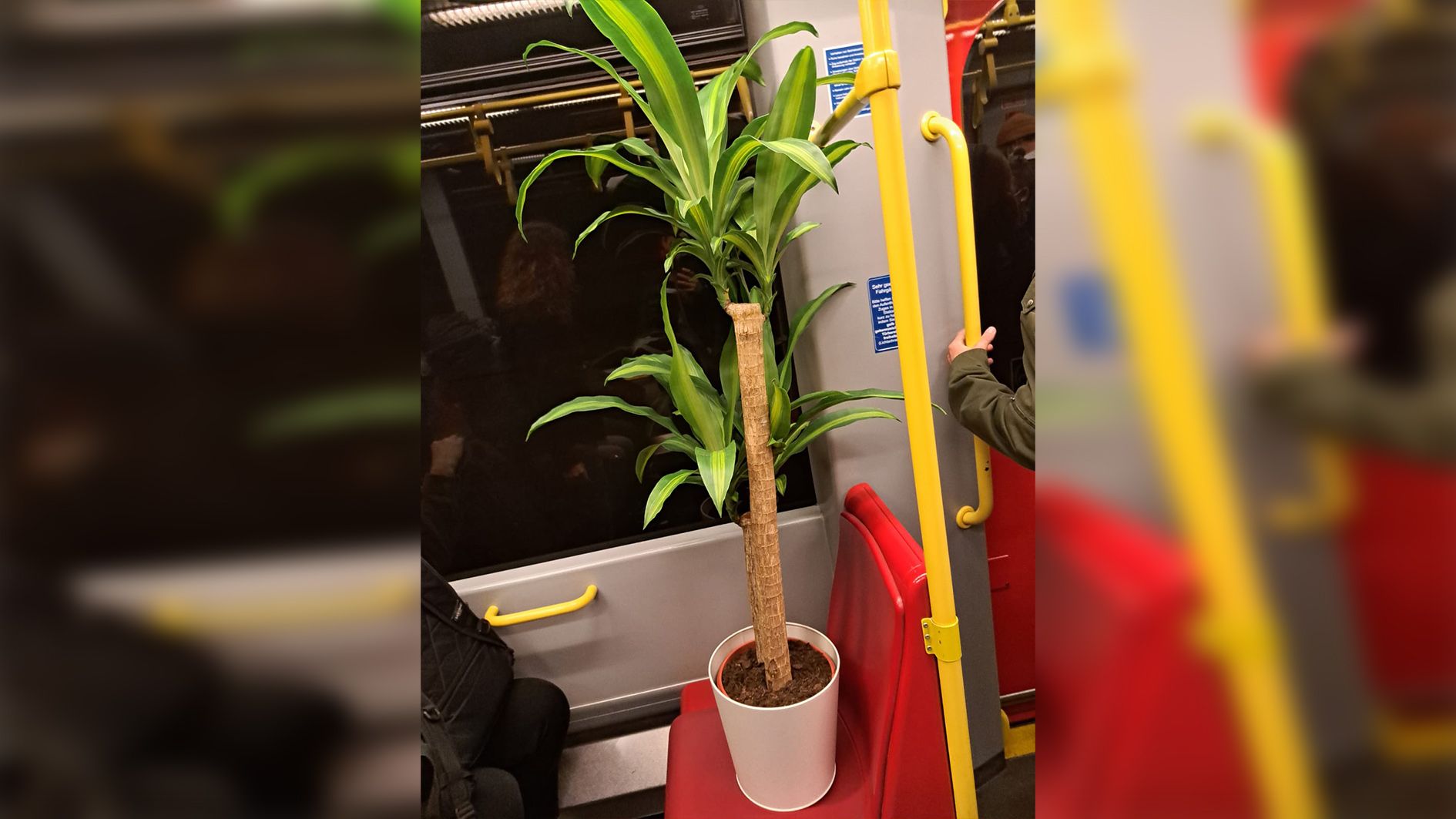 Geht's der Pflanze gut, geht's uns allen gut?