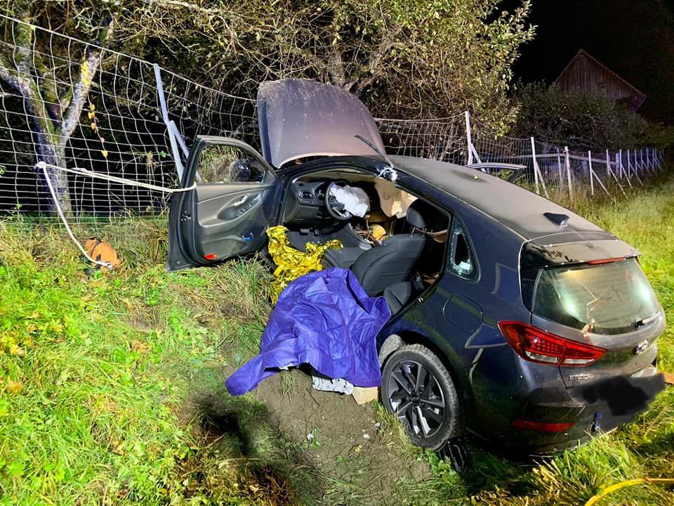 Der Autofahrer wurde bei dem Crash schwer verletzt.