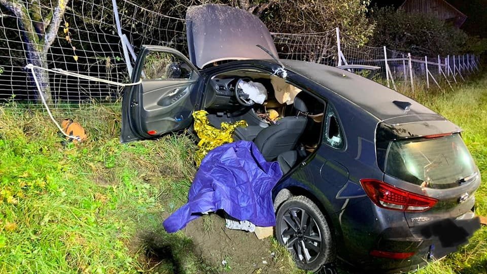 Der Autofahrer wurde bei dem Crash schwer verletzt.