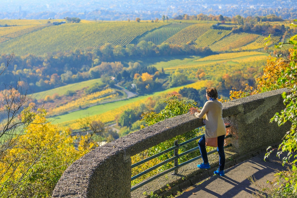 Experten warnen: Für diese Jahreszeit ist es deutlich zu warm.&nbsp;