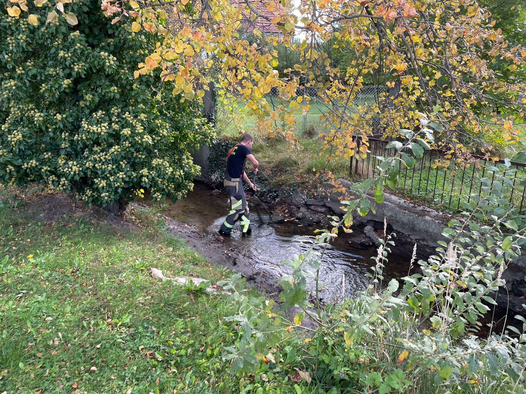 Die Feuerwehr Ebenfurth rettete über 80 Fische.