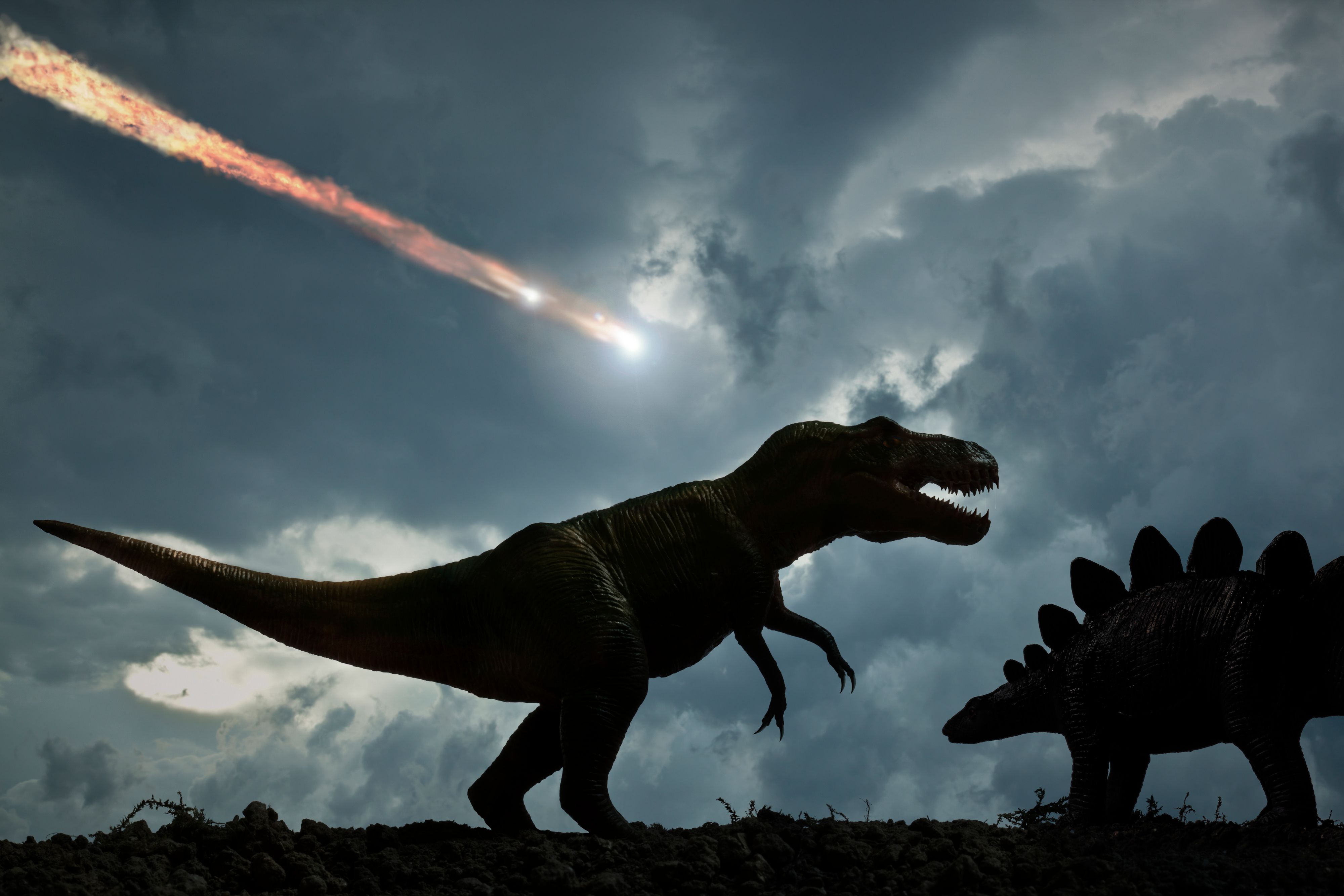 Dinosaurs and a meteor falling from the sky in back background.