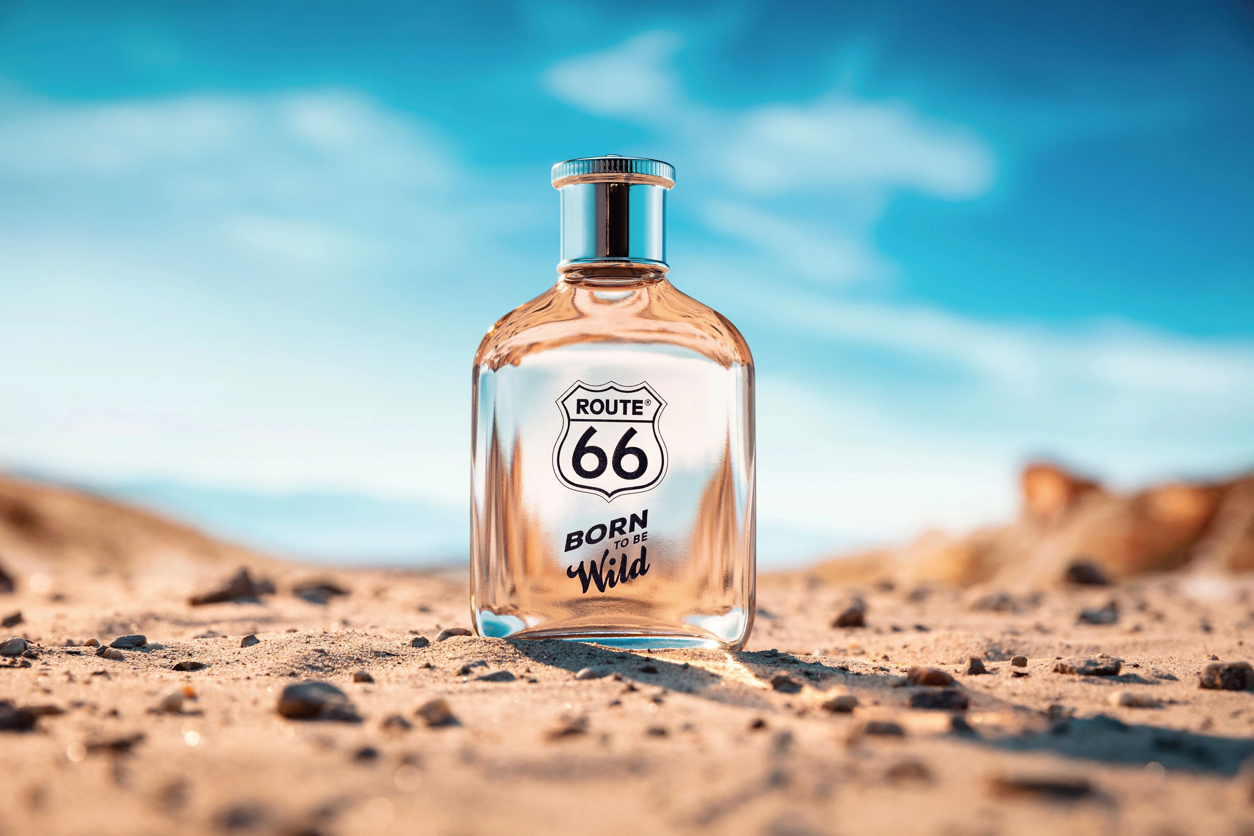 Route 66 "Born to be Wild"