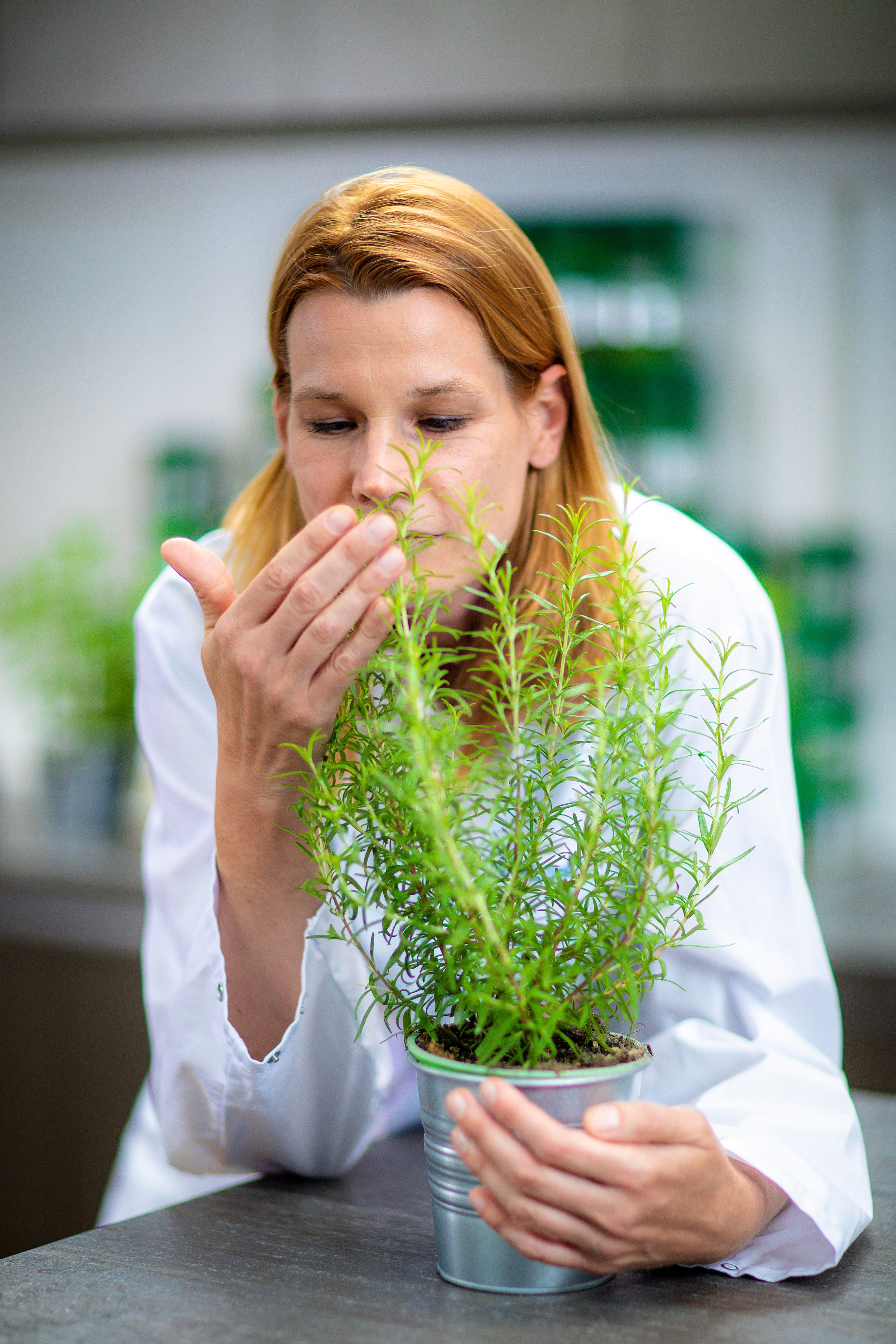 Elisabeth Voltmer (Bild), die Leiterin der Kotányi Qualitätskontrolle, weiß, woran man gute Qualität bei Kräutern und Gewürzen erkennt.