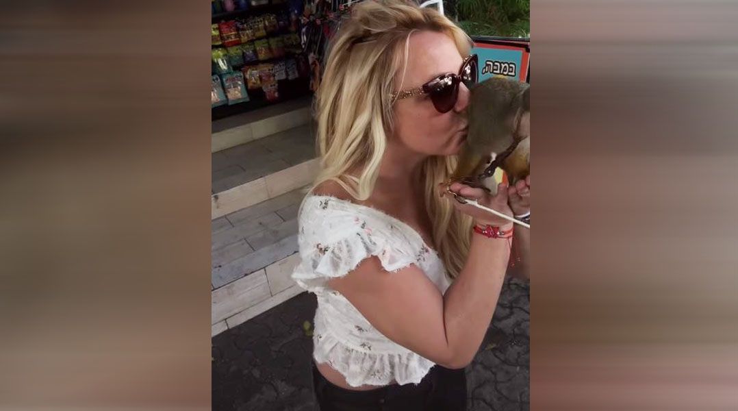 Britney Spears küsst einen Affen.