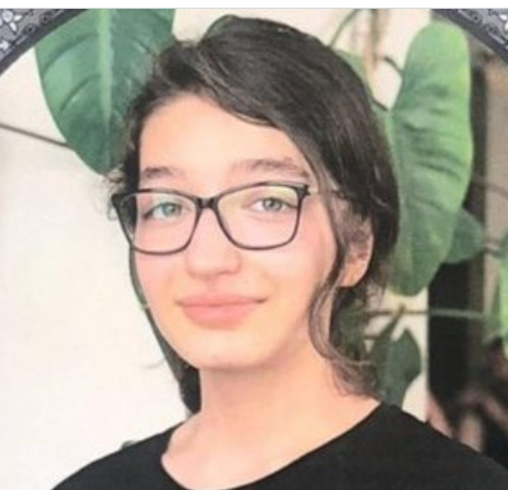 Die 16-jährige Sarina Esmailzadeh starb am Samstag. Die Behörden behaupten, sie sei von einem Hochhaus gesprungen und habe so Suizid begangen.