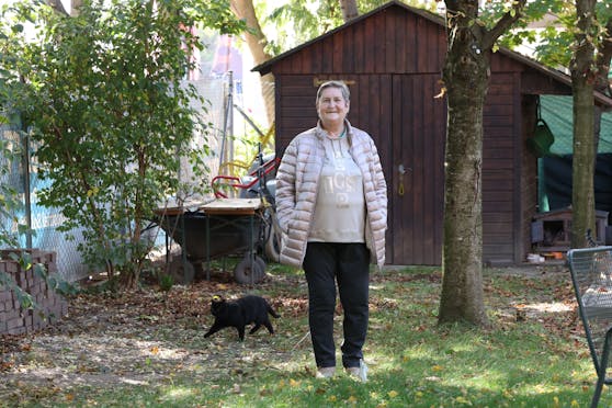 Katzen sind ihr Leben: Pensionistin Monika Z. (72) setzt sich für Streuner ein, kauft Futter aus dem eigenen Börserl. Doch die Teuerungen machen den Einsatz immer schwerer.