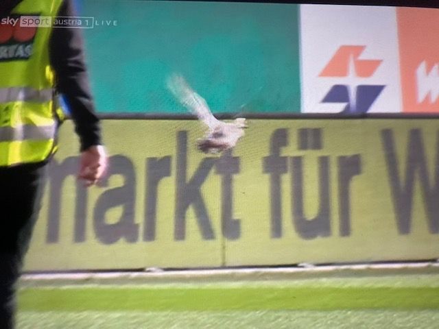Eine Ente macht das Allianz Stadion vor dem 337. Wiener Derby unsicher.