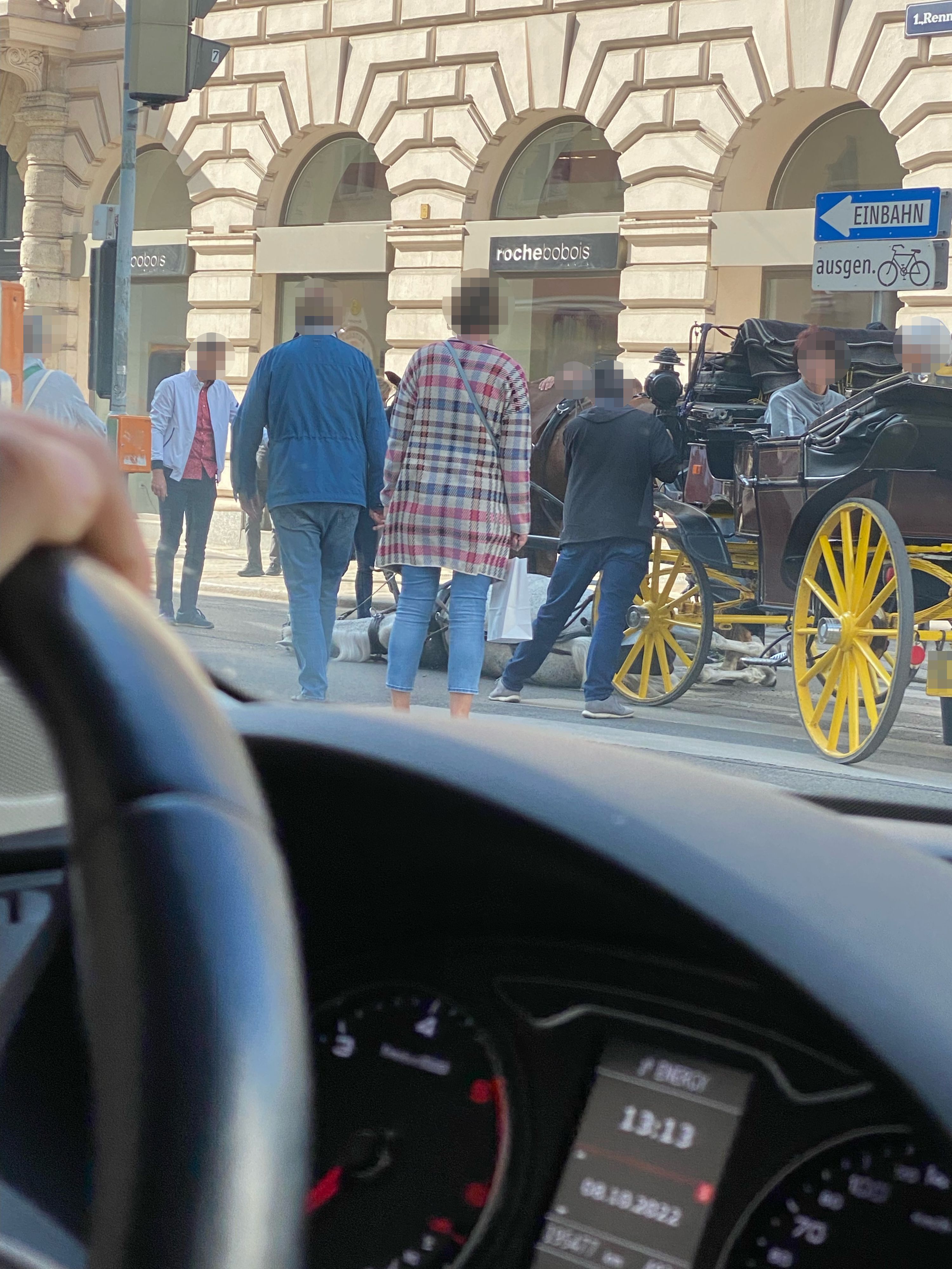 Das Tier stürzte in der Renngasse, blieb im Geschirr am Boden liegen. Es ist nicht der erste Vorfall in diesem Jahr.