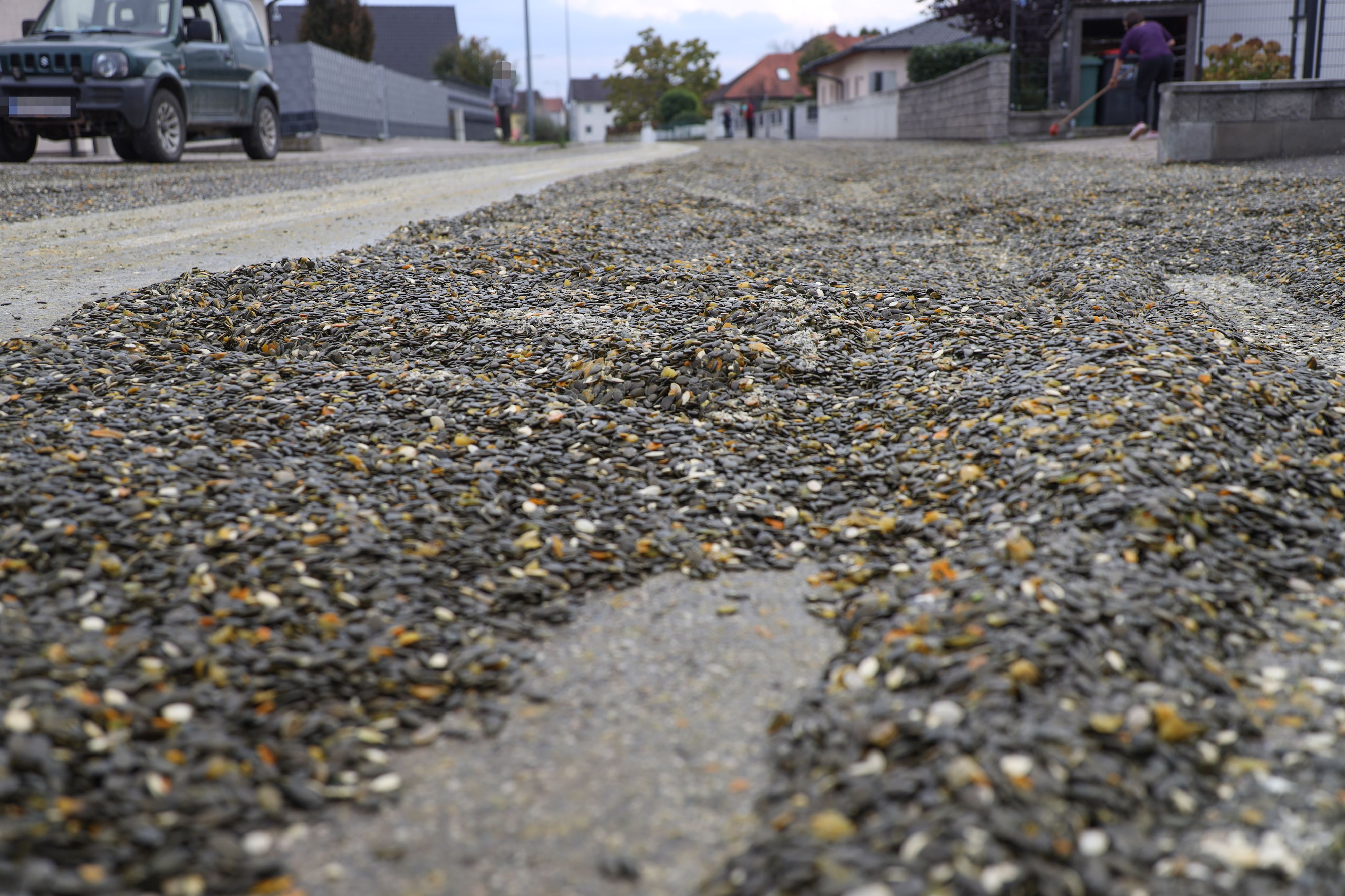 Tonnenweise verlorene Kürbiskerne sorgten für Verkehrschaos in Hörsching (Bezirk Linz-Land).
