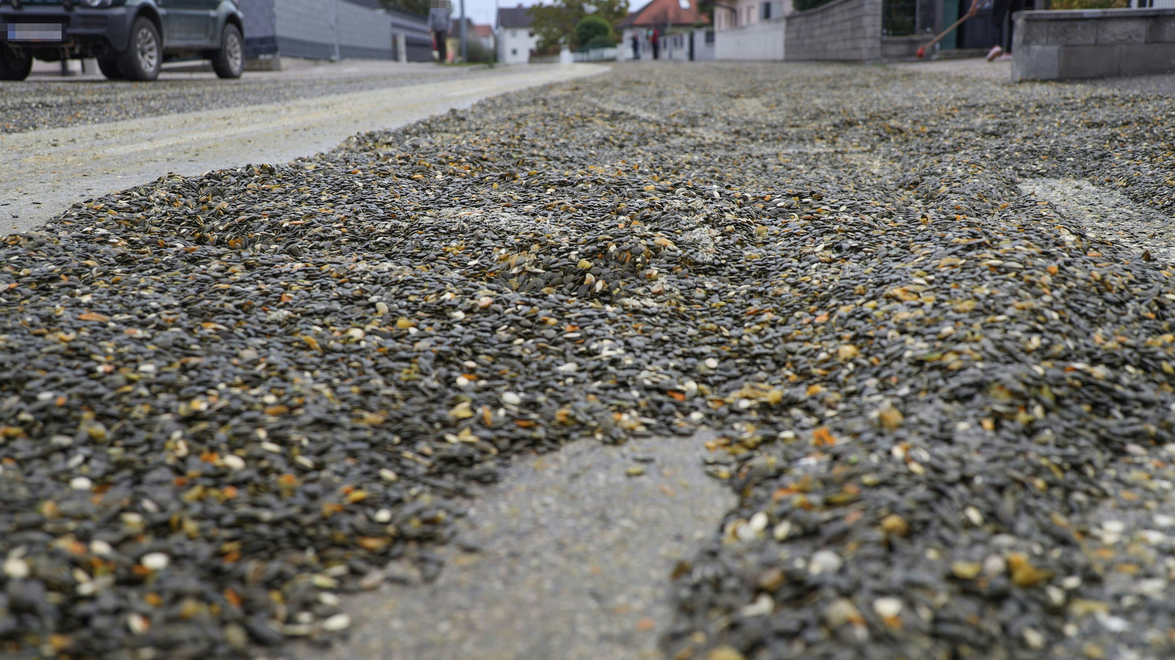 Kürbiskerne, Hörsching