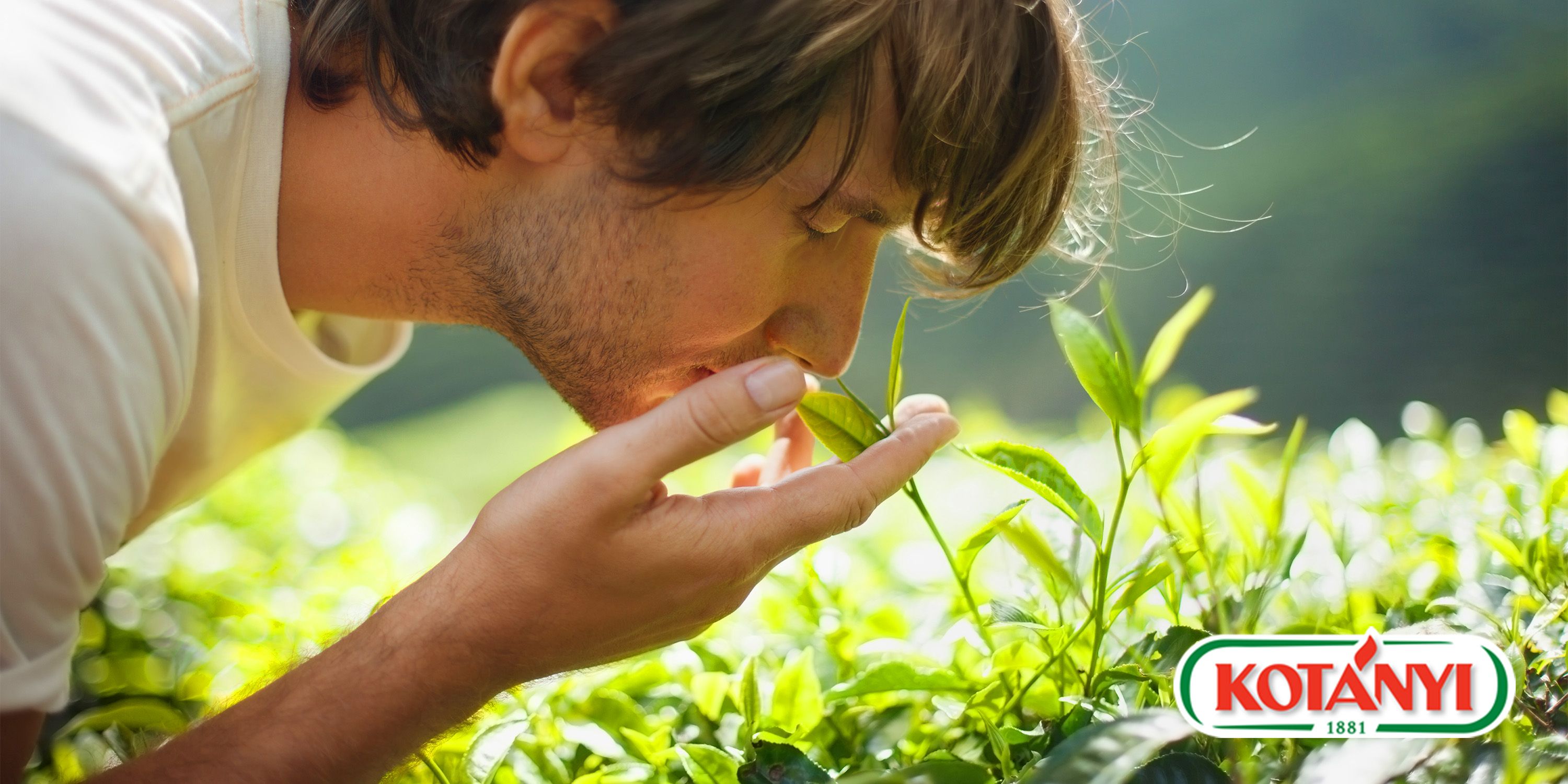 Je höher der Gehalt an ätherischen Ölen, desto intensiver der Geruch und Geschmack von Kräutern und Gewürzen – und desto höher auch die Qualität.