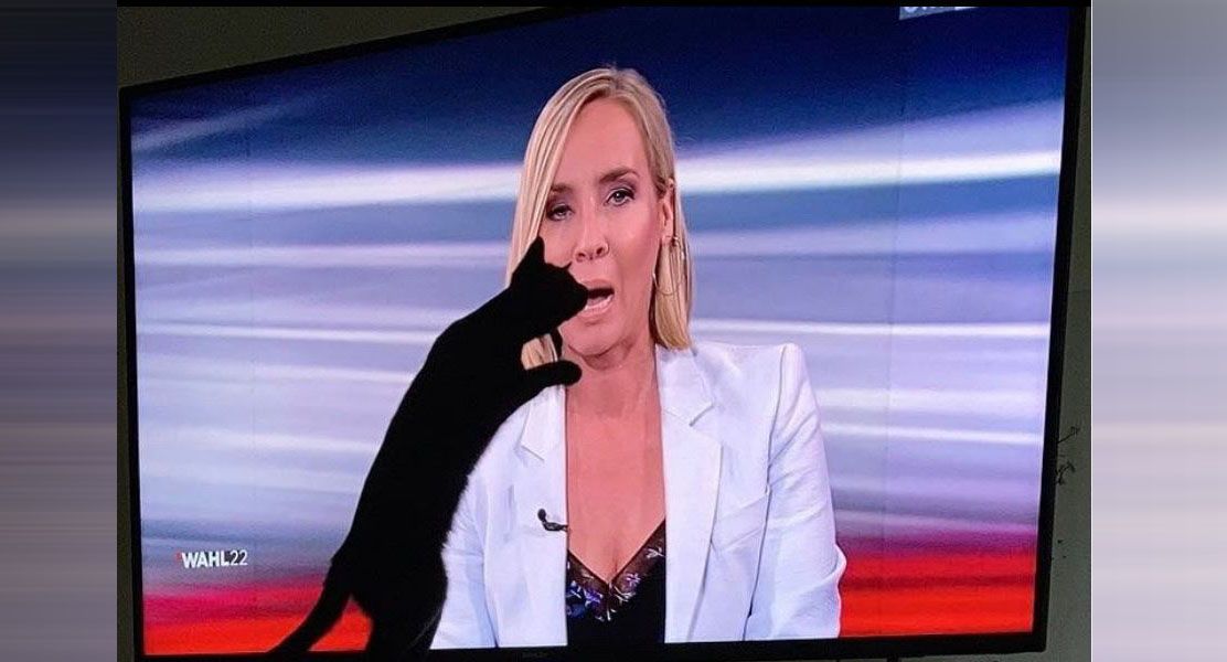 Eine Katze findet Nadja Bernhard höchst interessant.