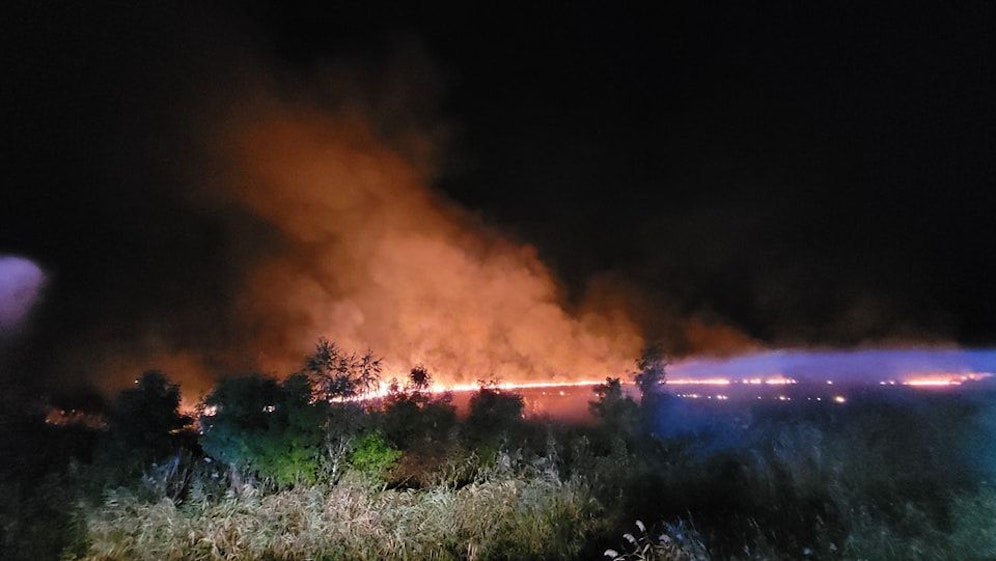 Das brennende Schilf musste von 13 Feuerwehren bekämpft werden. 