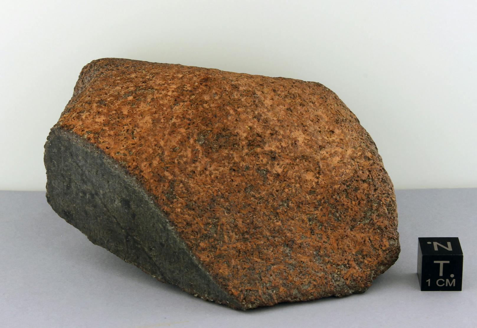 Der Mars-Meteoriten NWA 12323 wiegt 447 Gramm.