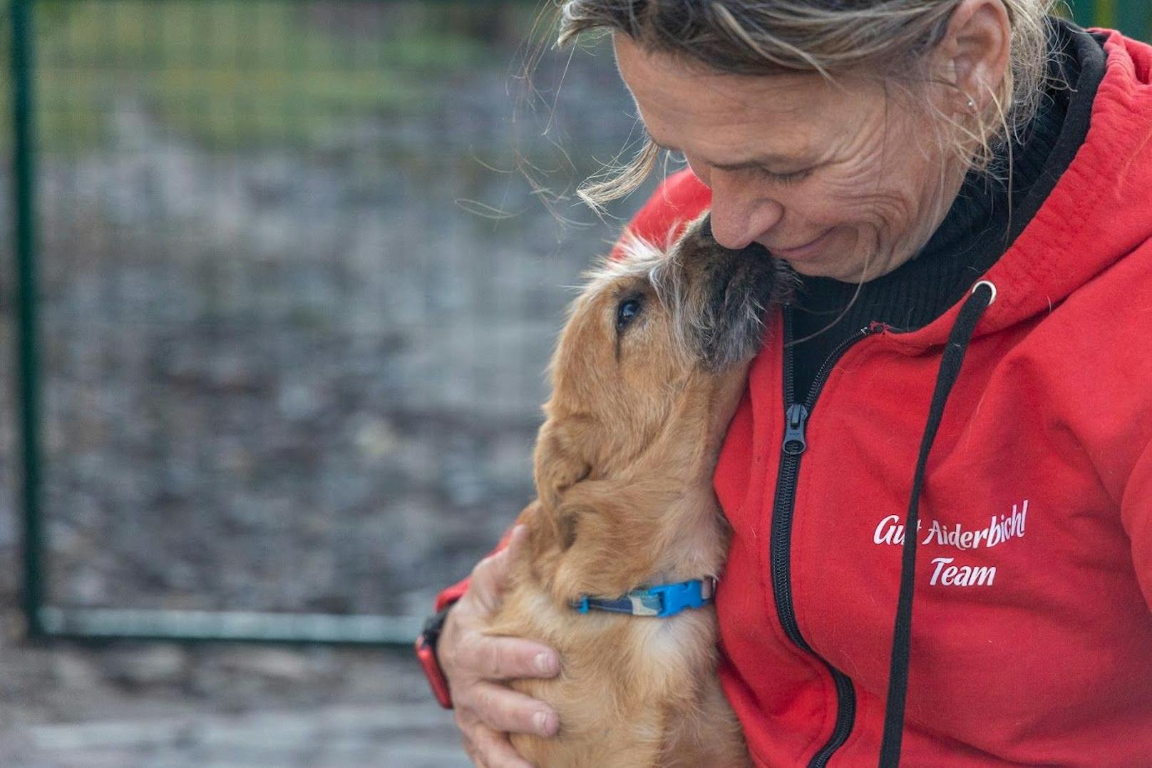 Gut Aiderbichl hat eigens zur Rettung und Unterbringung der Tiere ein leerstehendes Tierheim in Bissendorf bei Osnabrück angemietet, um sie bestmöglich versorgen zu können.