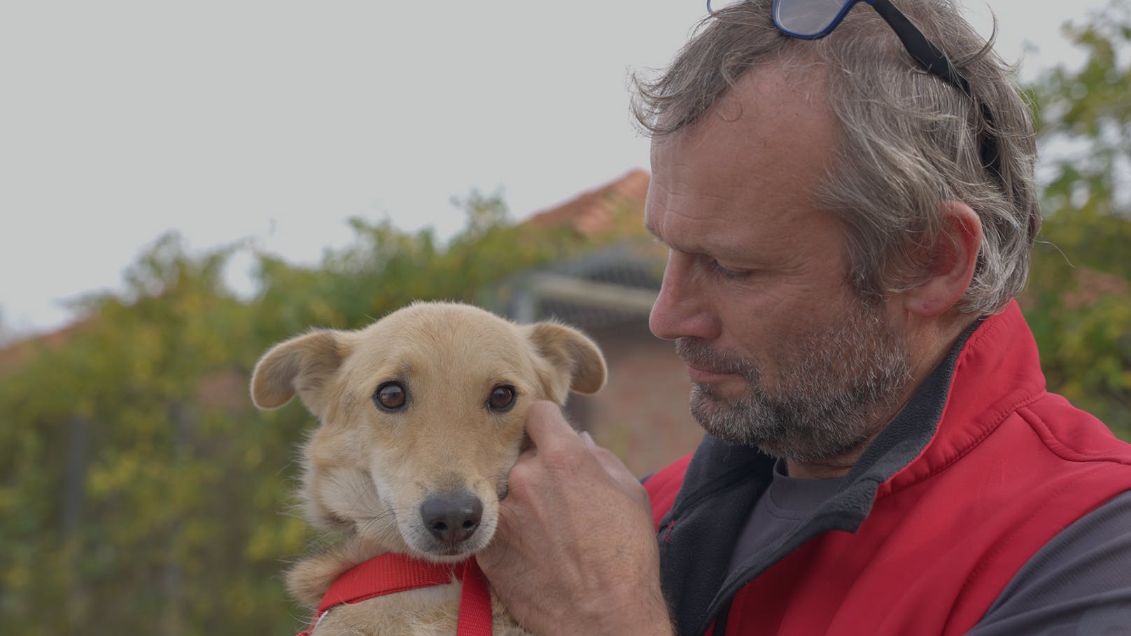 Nun werden sich die Hunde und Katzen einmal von dem anstrengenden Transport in Osnabrück erholen und medizinisch versorgt werden. In ein paar Wochen wird dann die Vermittlung möglich.