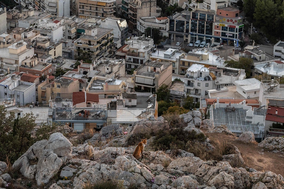 Blick auf Athen. Symbolbild