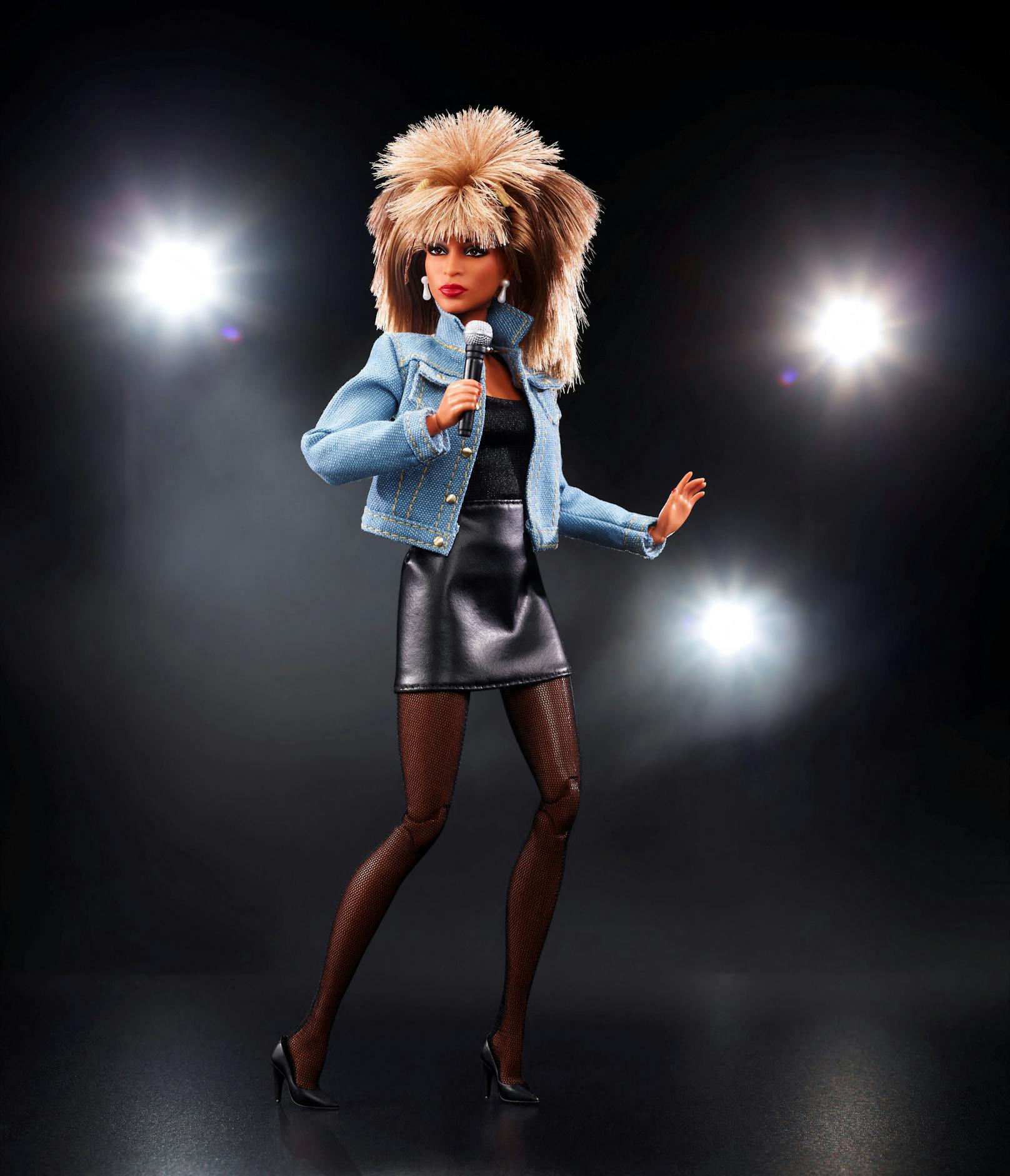 Mattel widmete der 82-Jährigen die Barbie zum 40. Jubiläum ihres Songs "What's love got to do with it" – zwei Jahre im Voraus.
