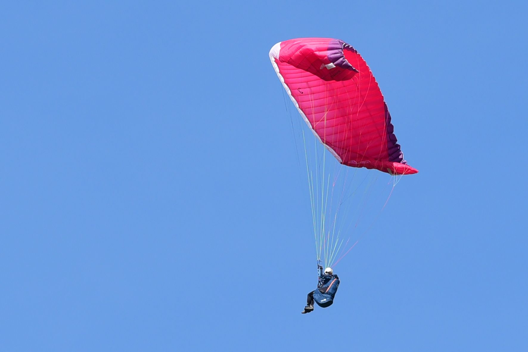 Der 46-Jährige krachte mit dem Gleitschirm gegen einen Baum. Symbolbild.