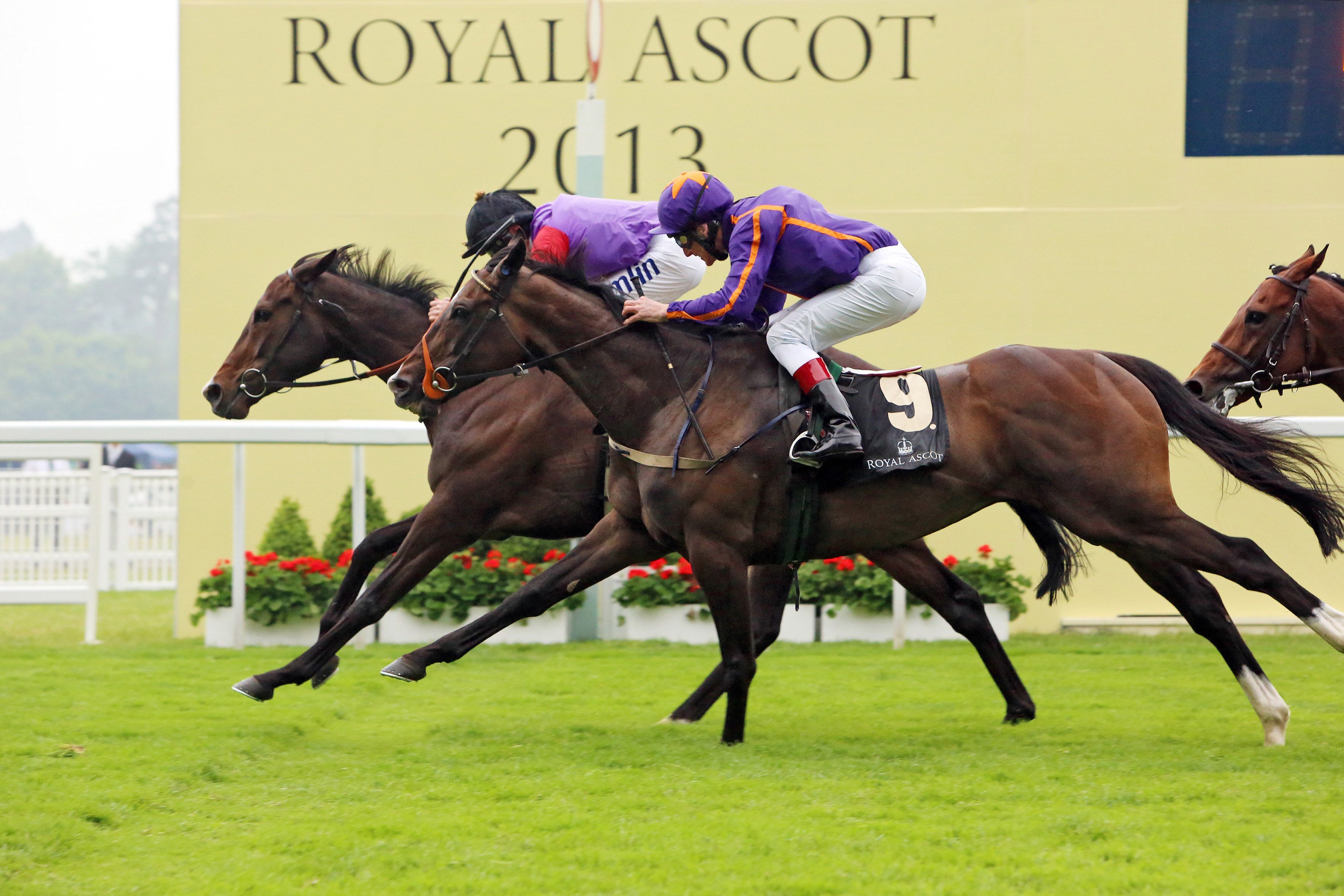 Jockey Ryan Moore gewann für Queen Elisabeth mit deren Pferd Estimate den Ascot Gold Cup.