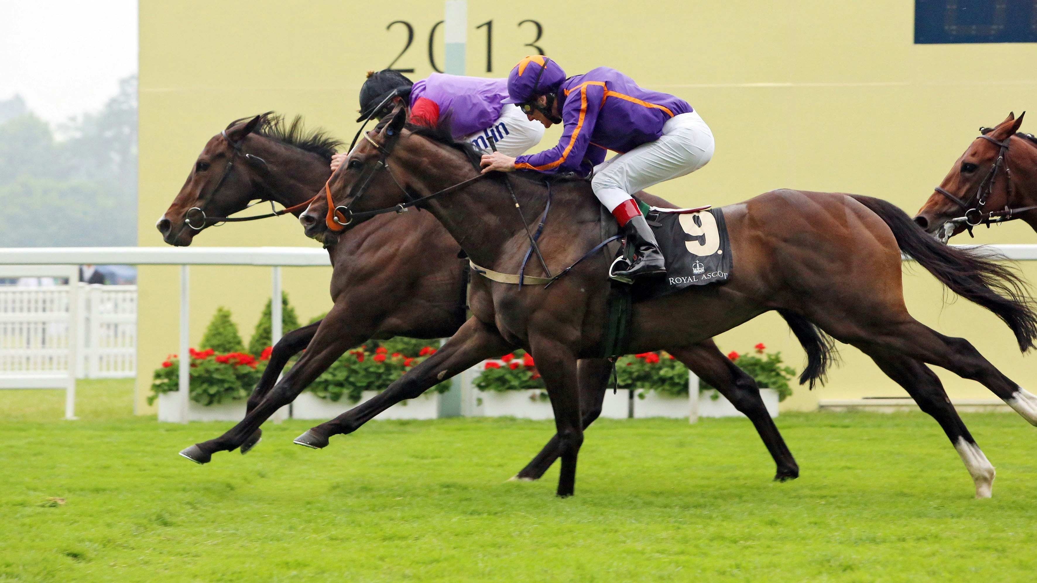 Jockey Ryan Moore gewann für Queen Elisabeth mit deren Pferd Estimate den Ascot Gold Cup. 