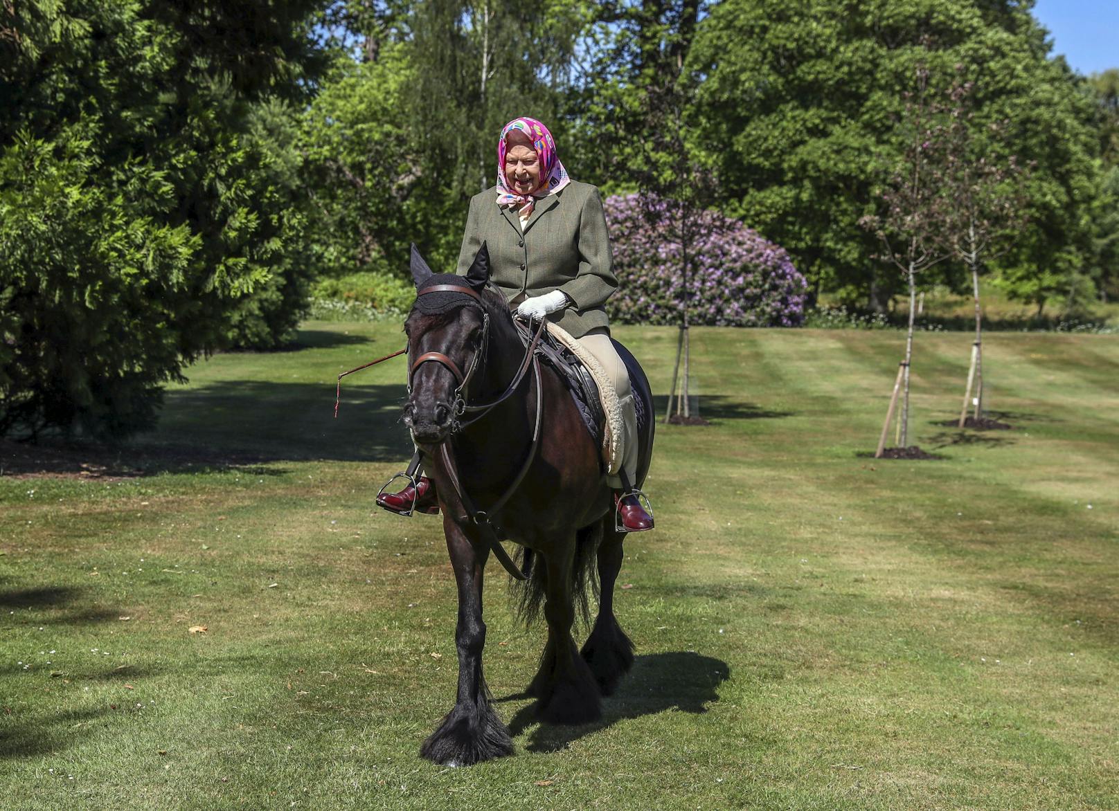 Diese Foto entstand am 5. Februar 2021. Queen Elisabeth II sitzt hier auf "Balmoral Fern". 