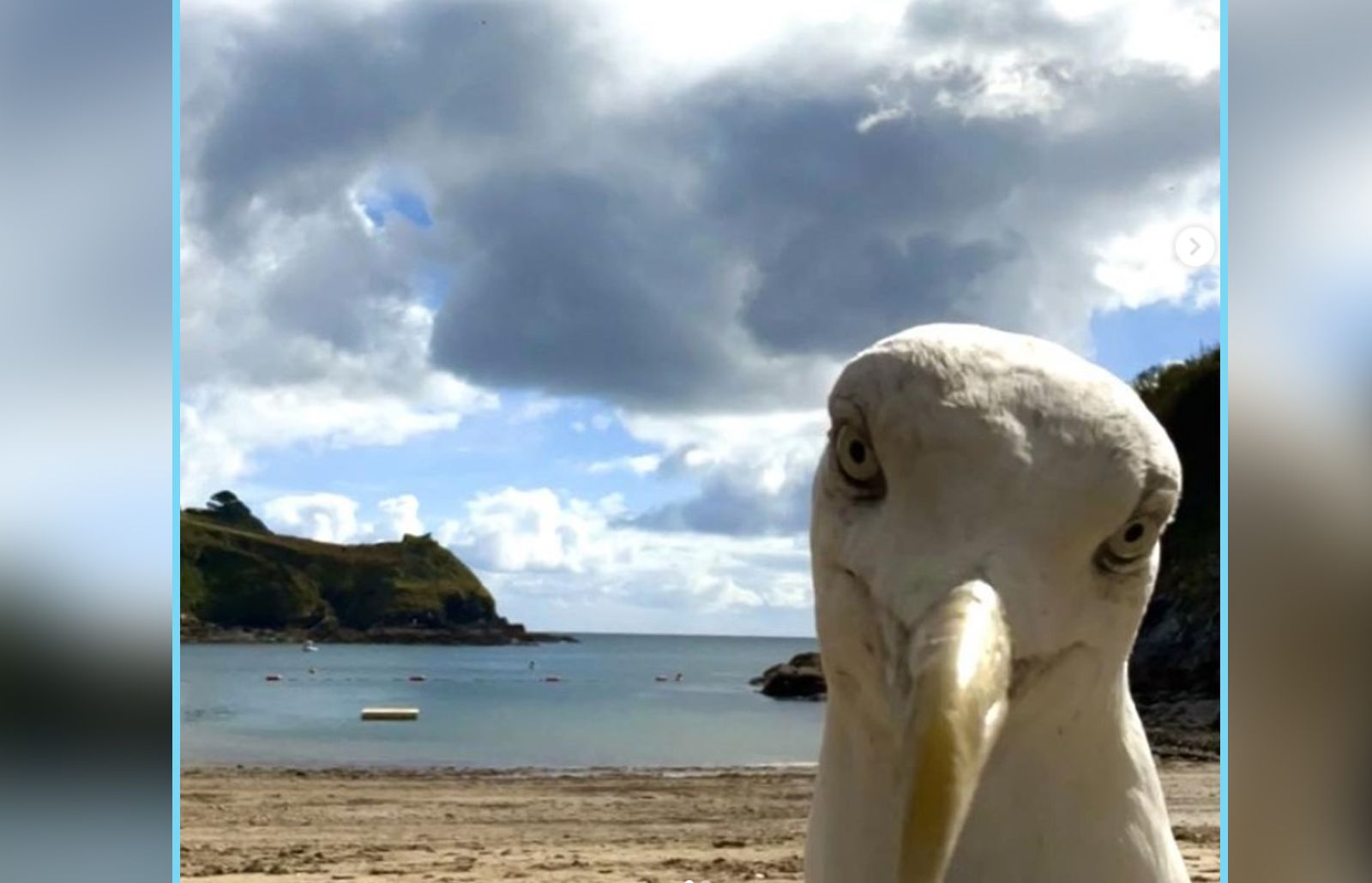 Während sich die Handy-Besitzerin in die Fluten begab, lief die Kamera weiter - mit witzigem Motiv.