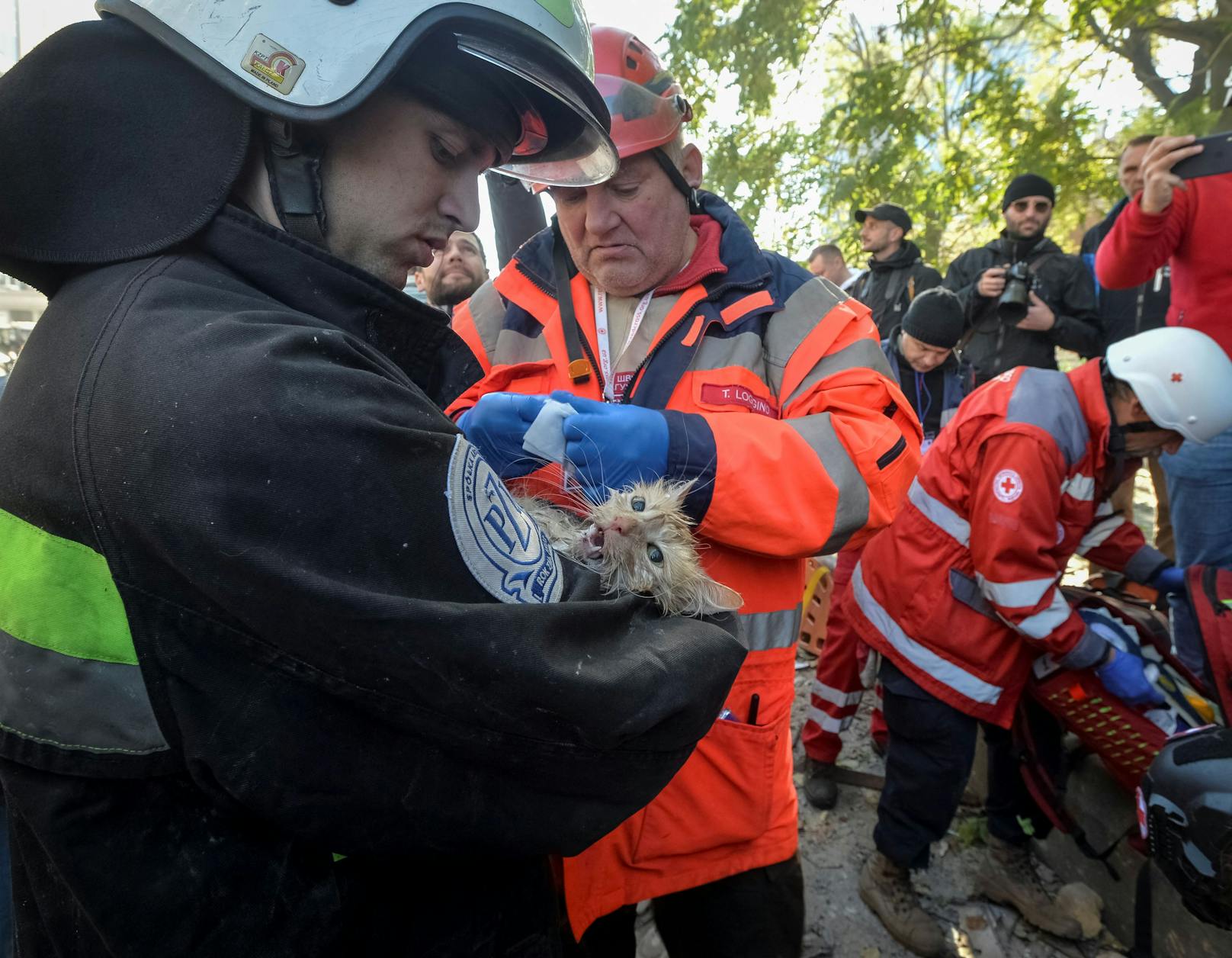 Einsatzkräfte versorgen eine Katze, die nach einem russischen Drohnen-Angriff aus einem Kiewer Wohnhaus geborgen wurde.