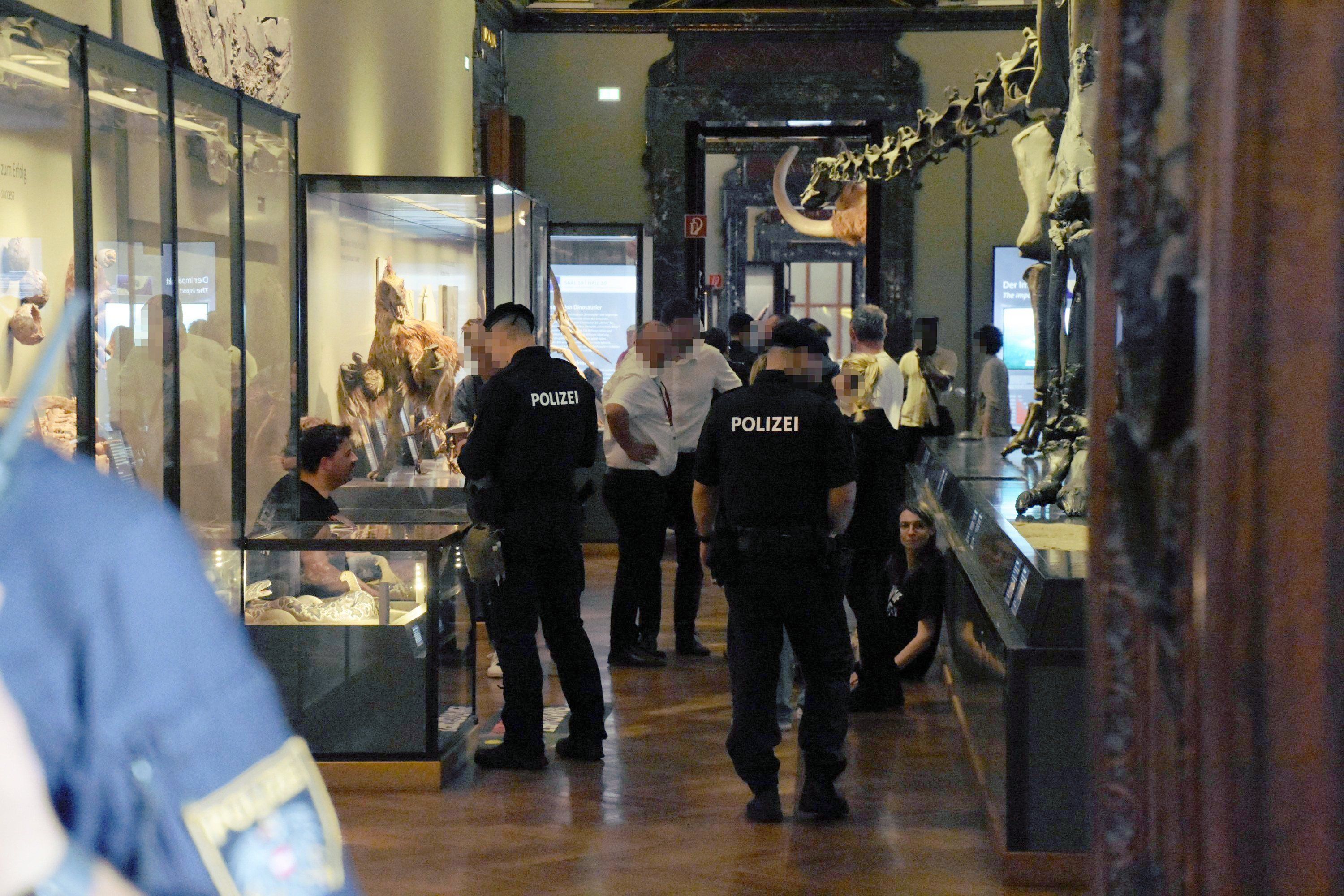 Polizei verhinderte Beschädigungen in Wiener Museum. 