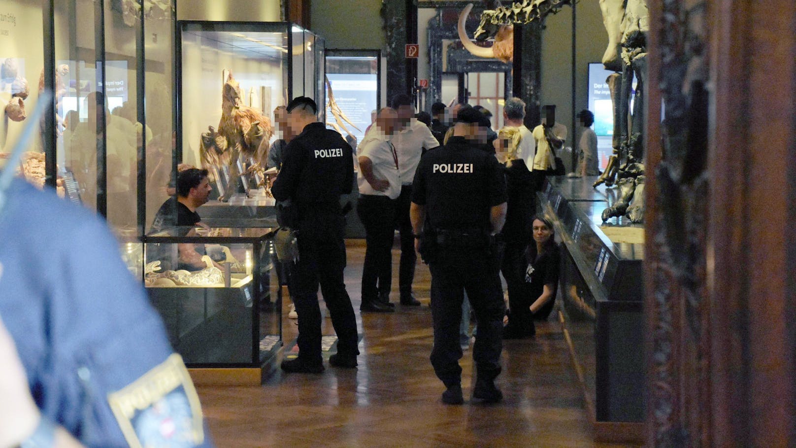 Polizei verhinderte Beschädigungen in Wiener Museum. 