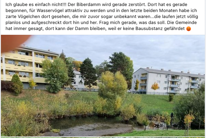 Auf Facebook kommentieren Dutzende Liesinger die Entfernung des Baus. 