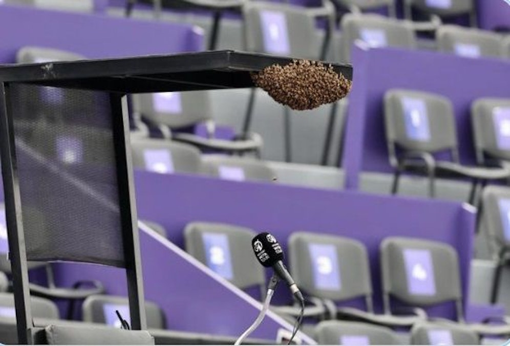Dieser Bienenschwarm verhinderte das Tennis-Match.