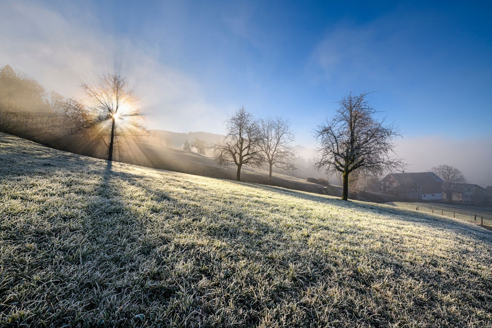 Sonnenaufgang an einem kalten Morgen im Herbst. Symbolbild.
