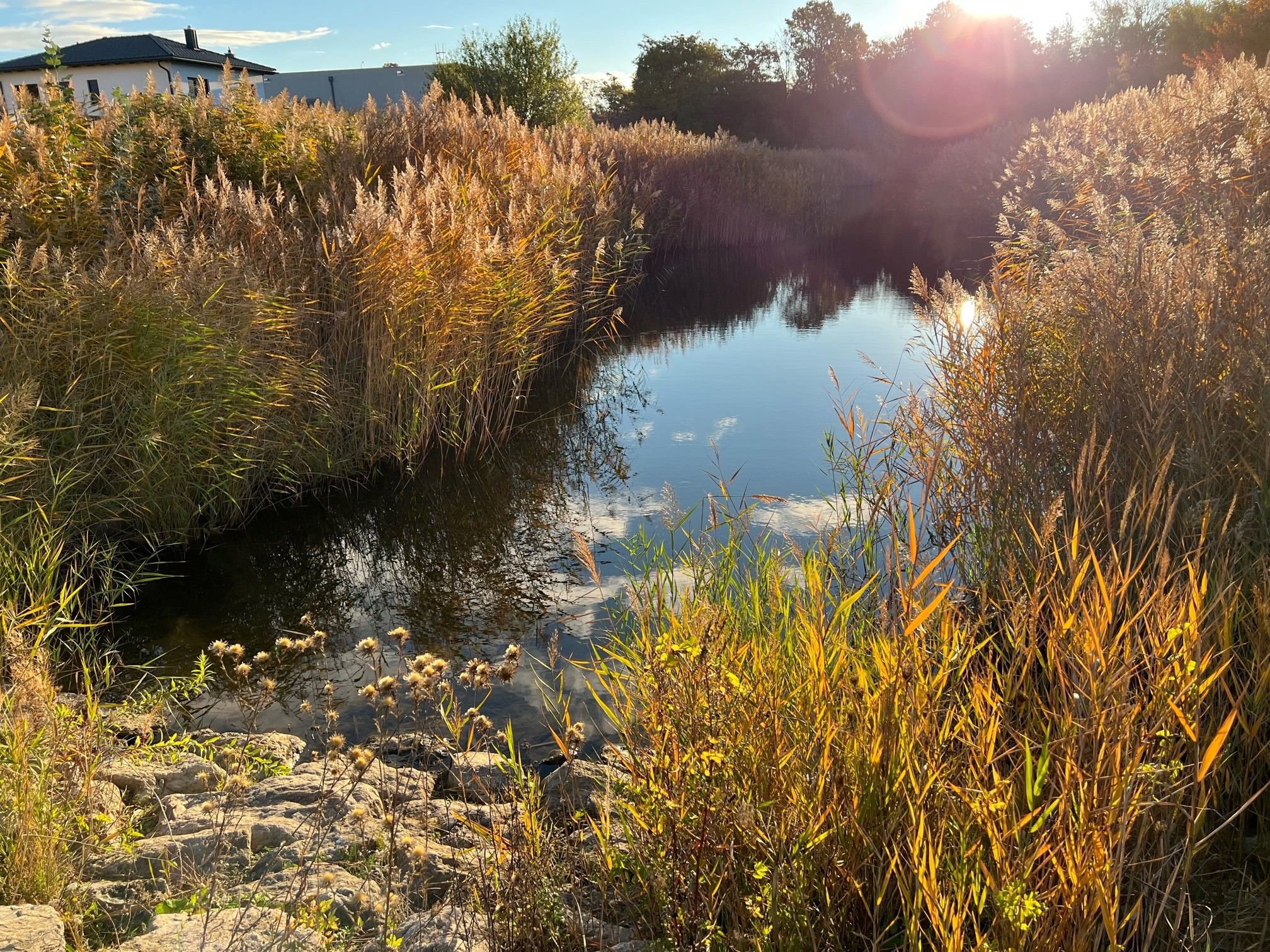Frau ertrank nach Lokalbesuch