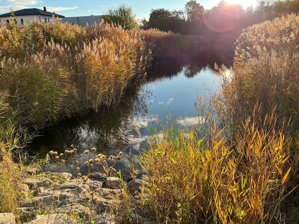 Frau ertrank nach Lokalbesuch.
