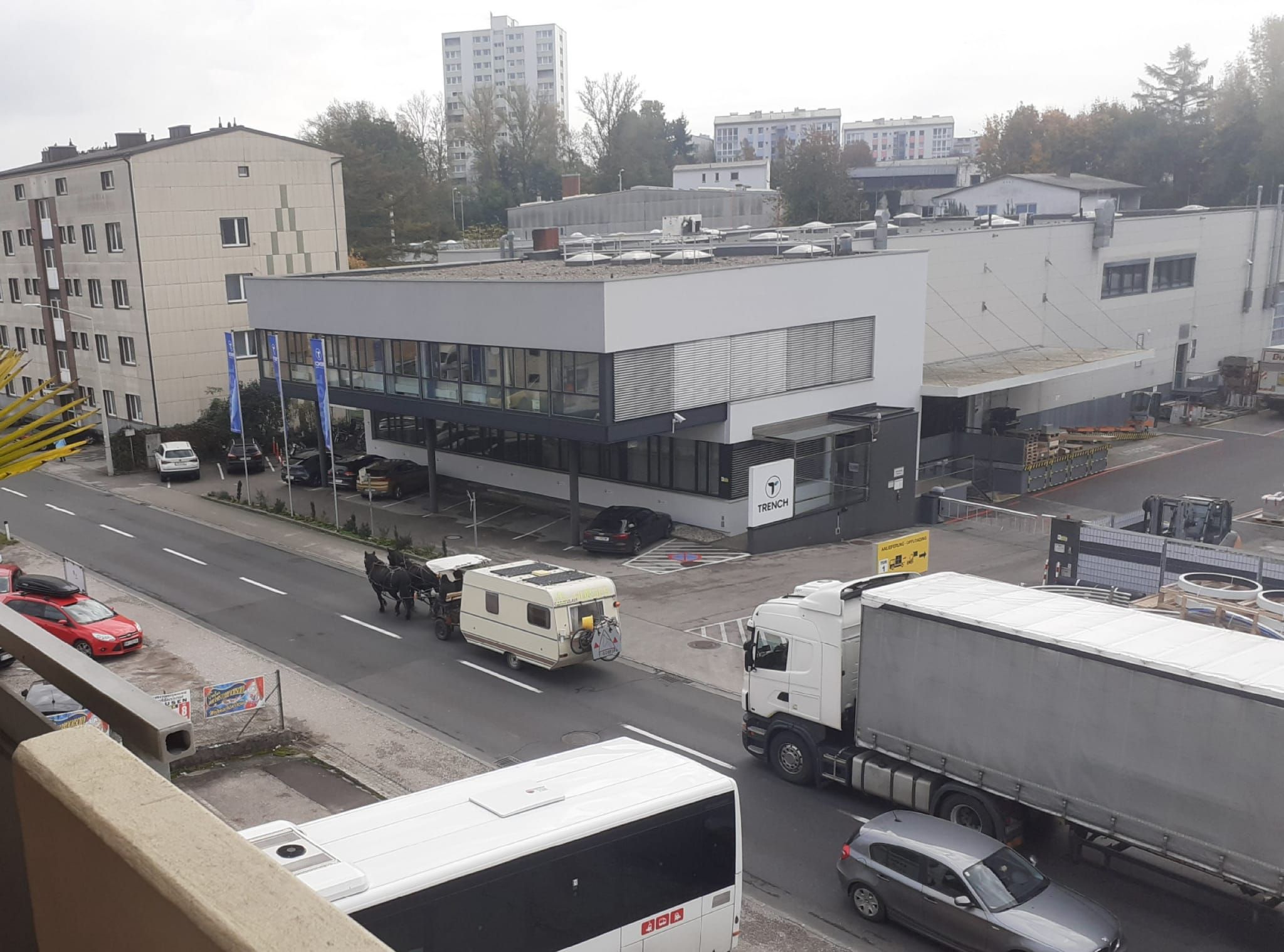 Pferdemist statt Sprittpreis-Ärger