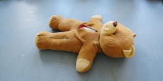Hund erschnüffelt 3,2 Kilo Haschisch in Teddybär