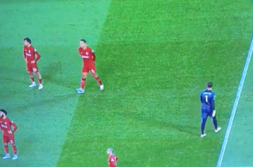 Virgil van Dijk gräbt den Rasen um.