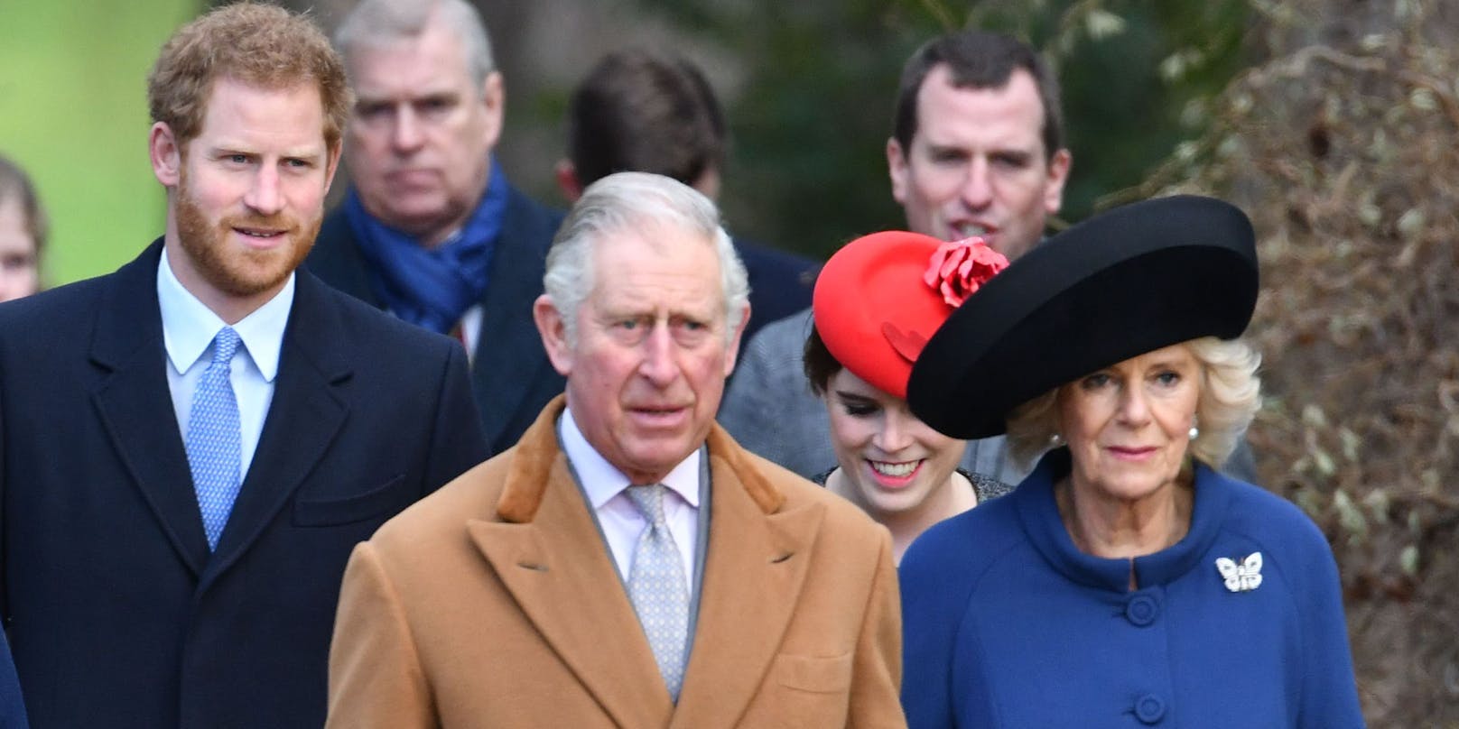 Prinz Harry, King Charles und Königsgemahlin Camilla