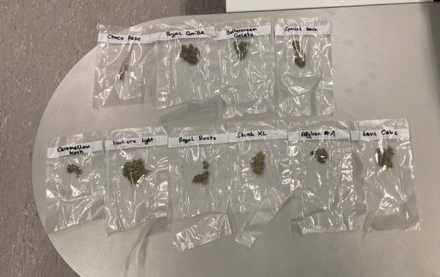 Bei der Anhaltung wurden im PKW zehn Säckchen Suchtgift sichergestellt.