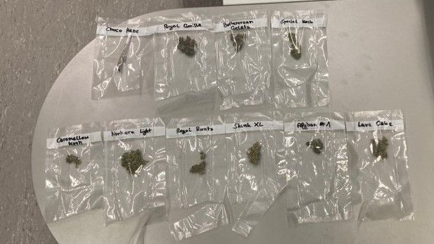 Bei der Anhaltung wurden im PKW 10 Säckchen Suchtgift sichergestellt.