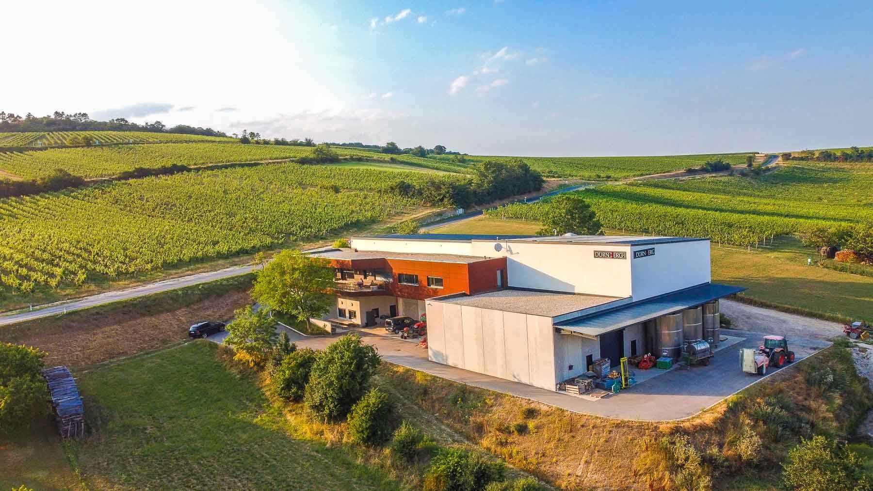 Das Team von Weingut Dürnberg sucht Aktionäre.