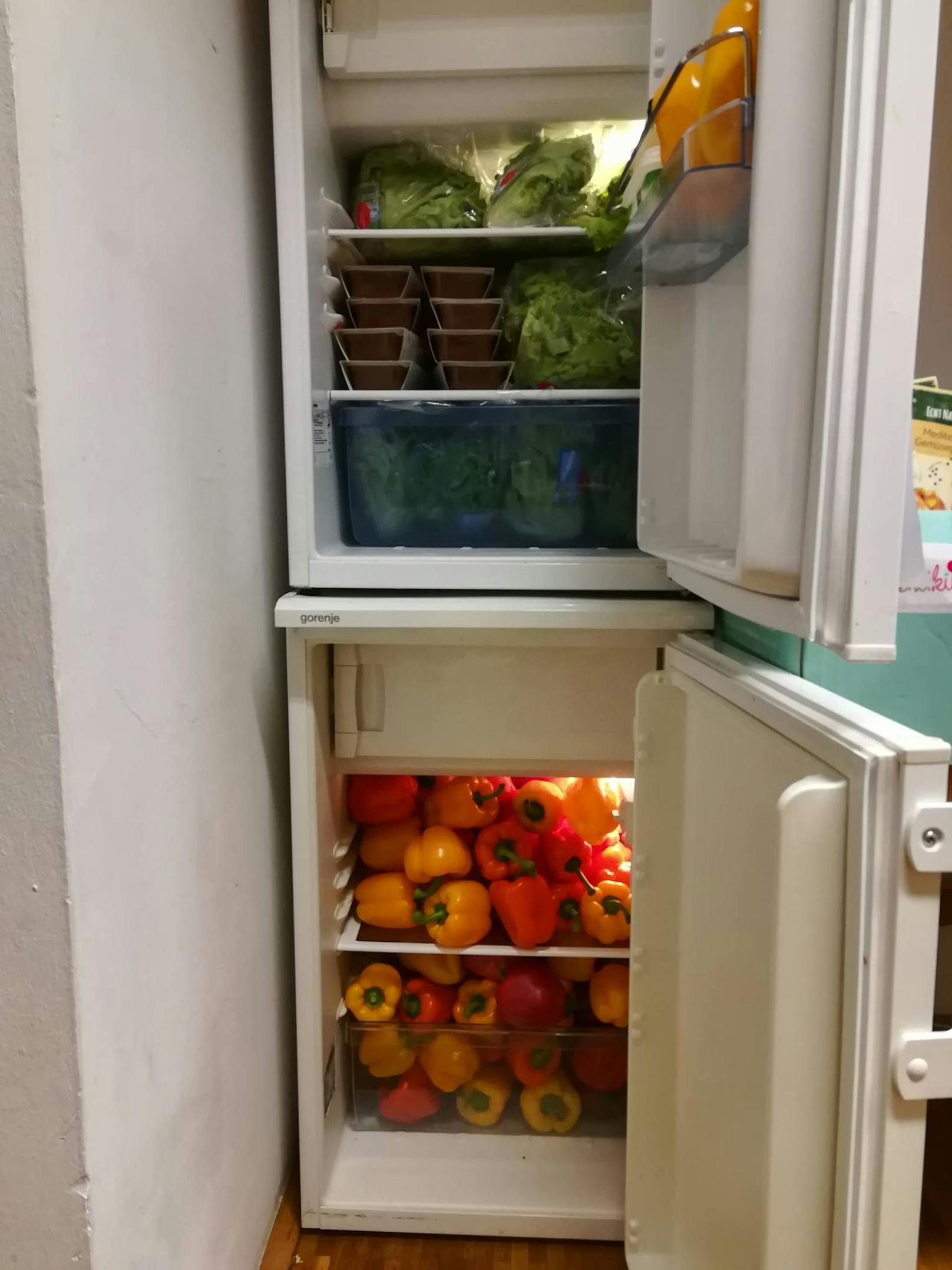 Der Fairteiler Kühlschrank im Sonnenpark ist immer gut gefüllt.