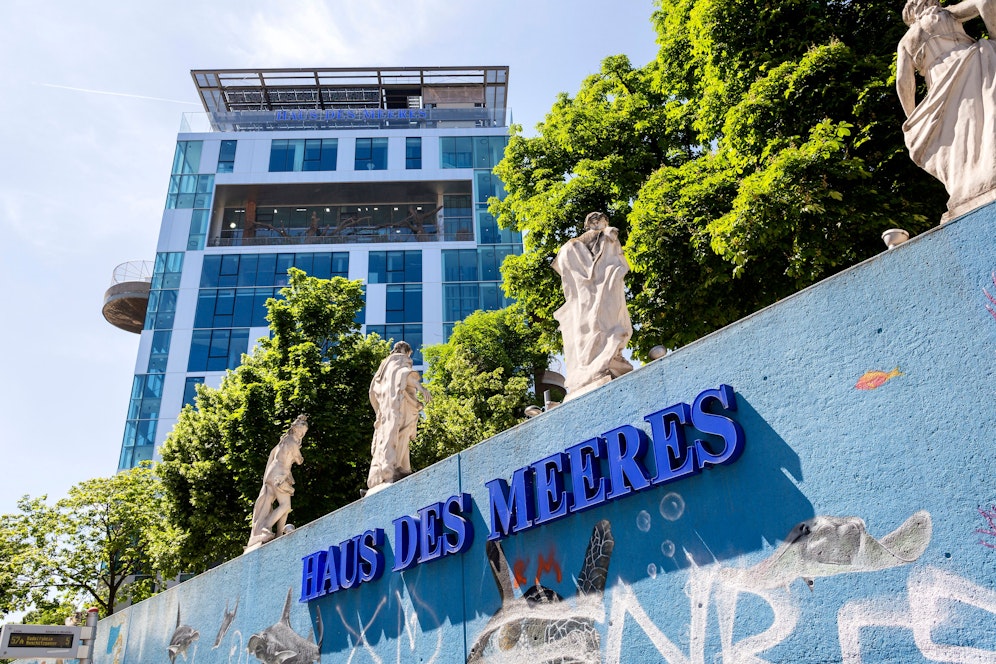 2022 kann das Haus des Meeres sogar einen Besucherrekord verbuchen und muss die Preise nicht anheben.