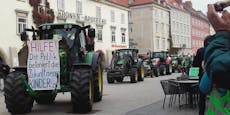 Bauern-Aufstand gegen Ostumfahrung in Wr. Neustadt