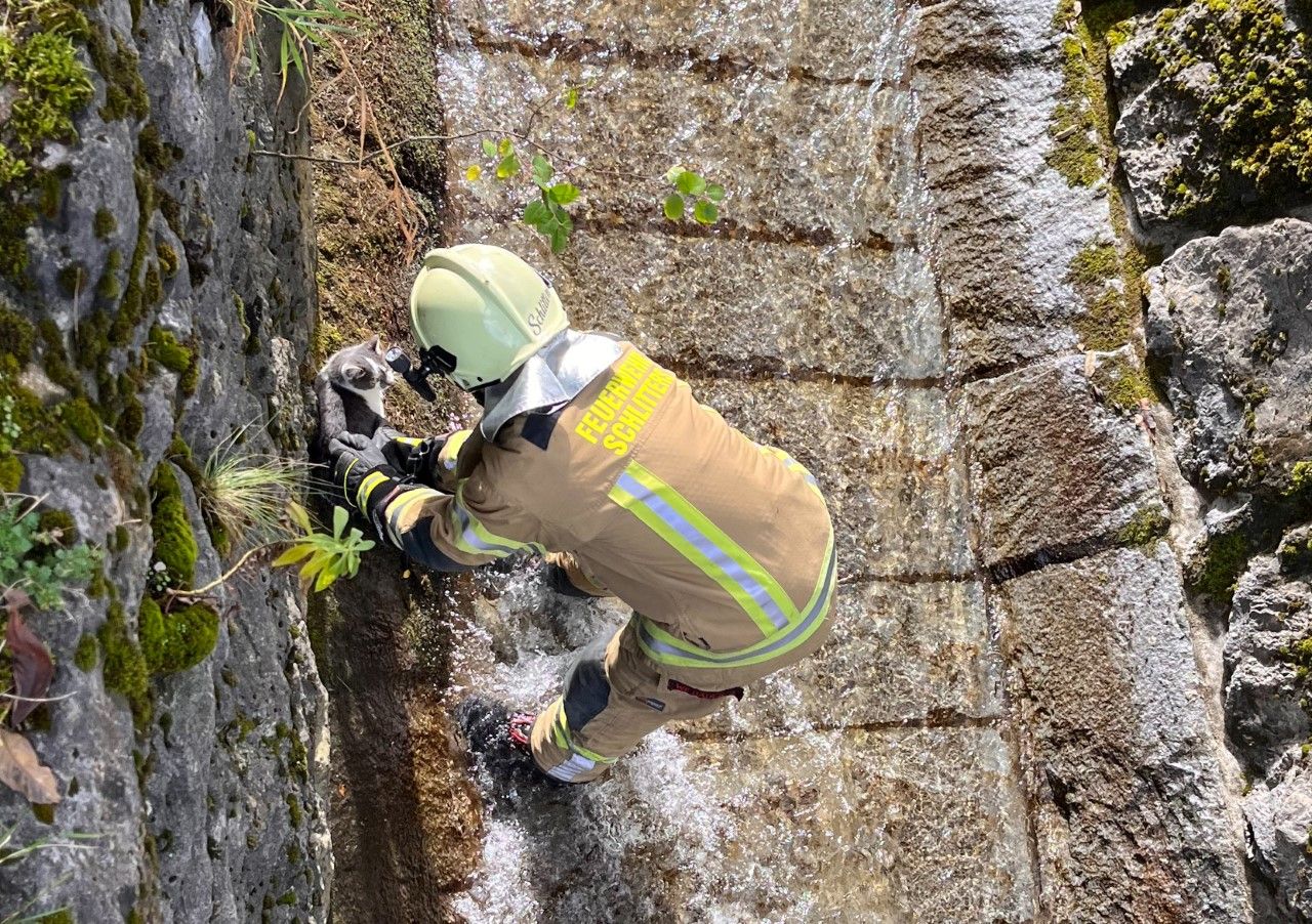 Der Feuwehrmann konnte die Katze unversehrt retten.