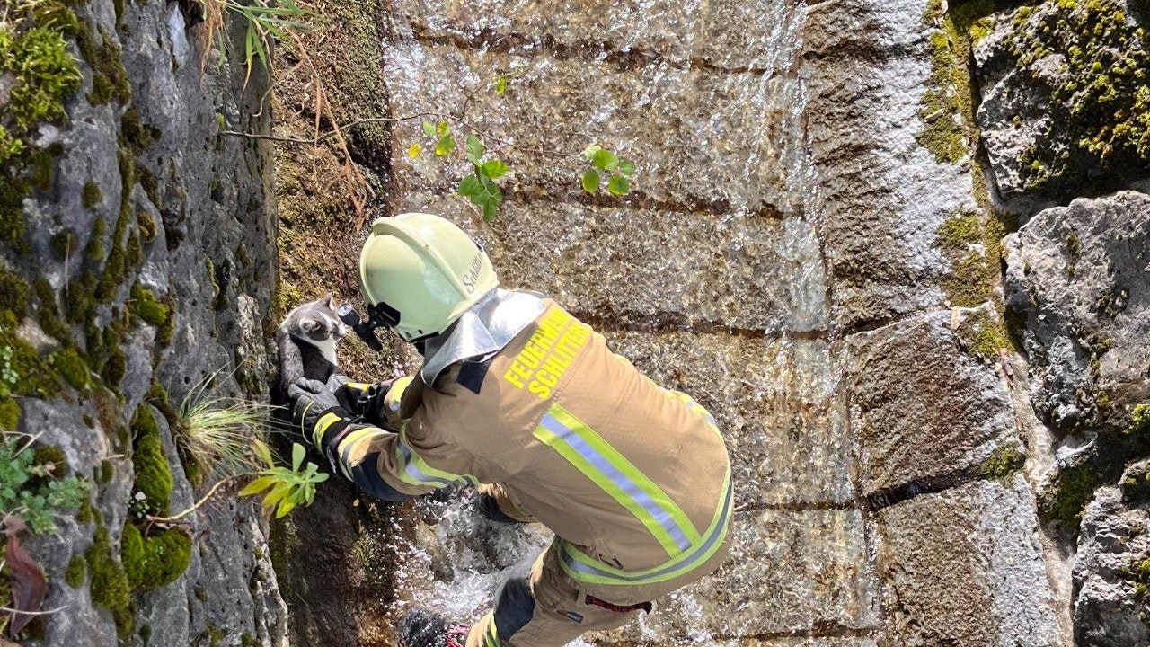Der Feuwehrmann konnte die Katze unversehrt retten.