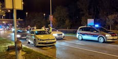 Steirer flüchtet vor Polizei – Auto überschlägt sich