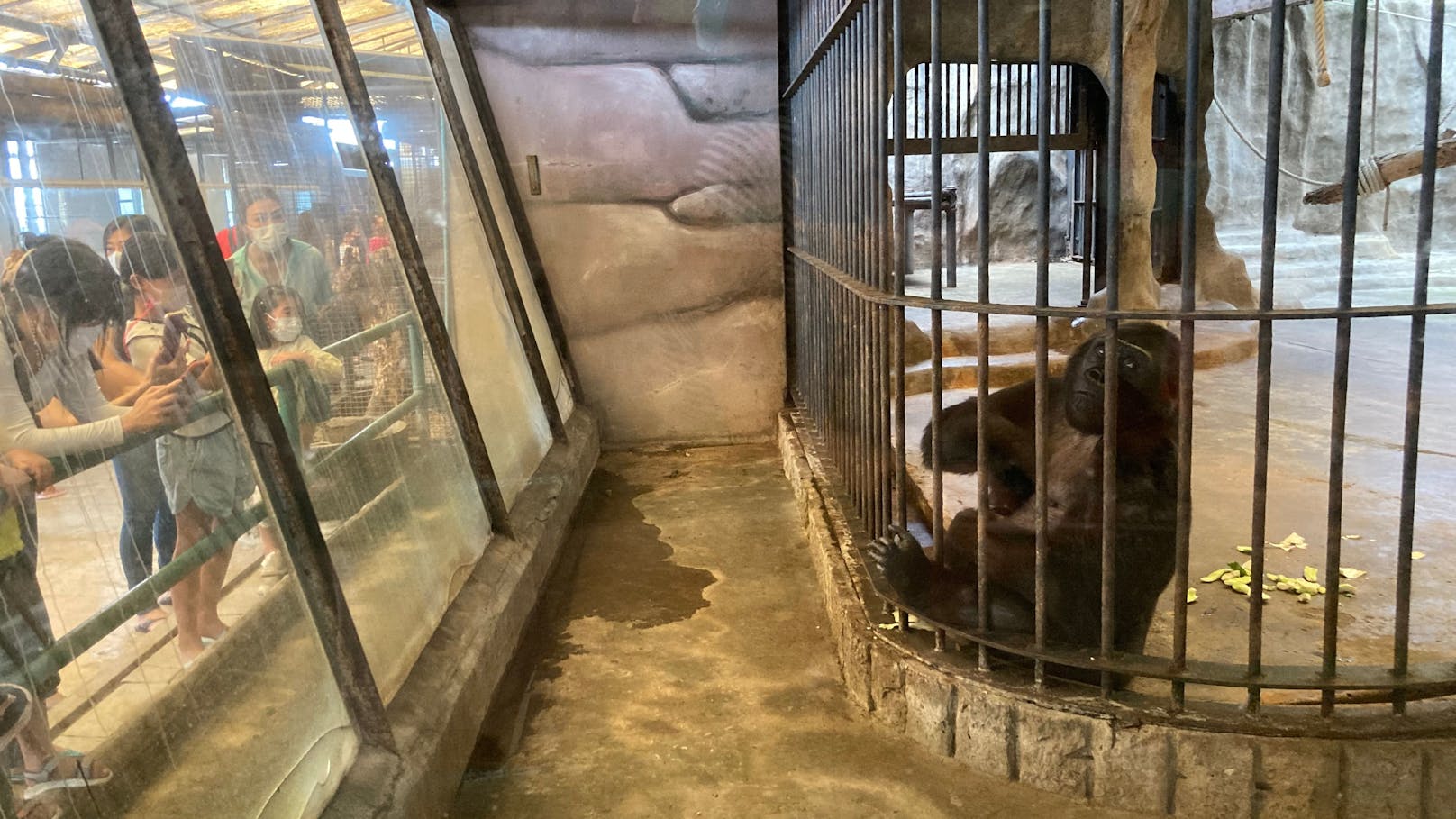 Noch immer bezahlen Menschen Eintritt, um die Tiere des Horror-Zoos in Bangkok zu sehen.